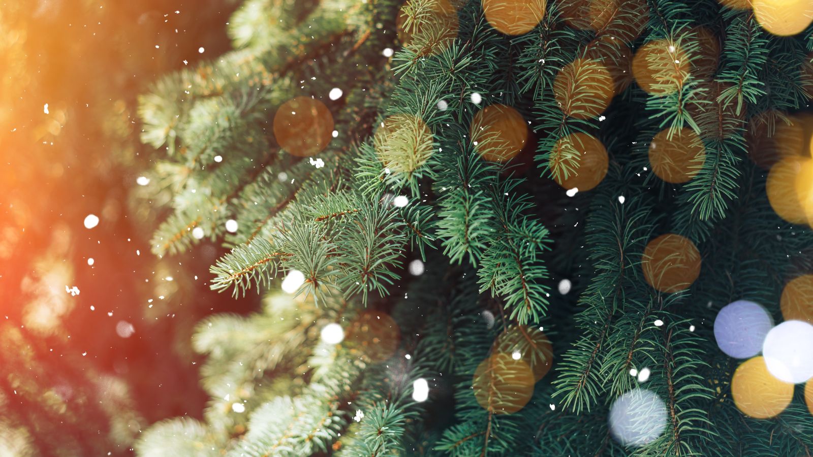 Julebilde Julebilde