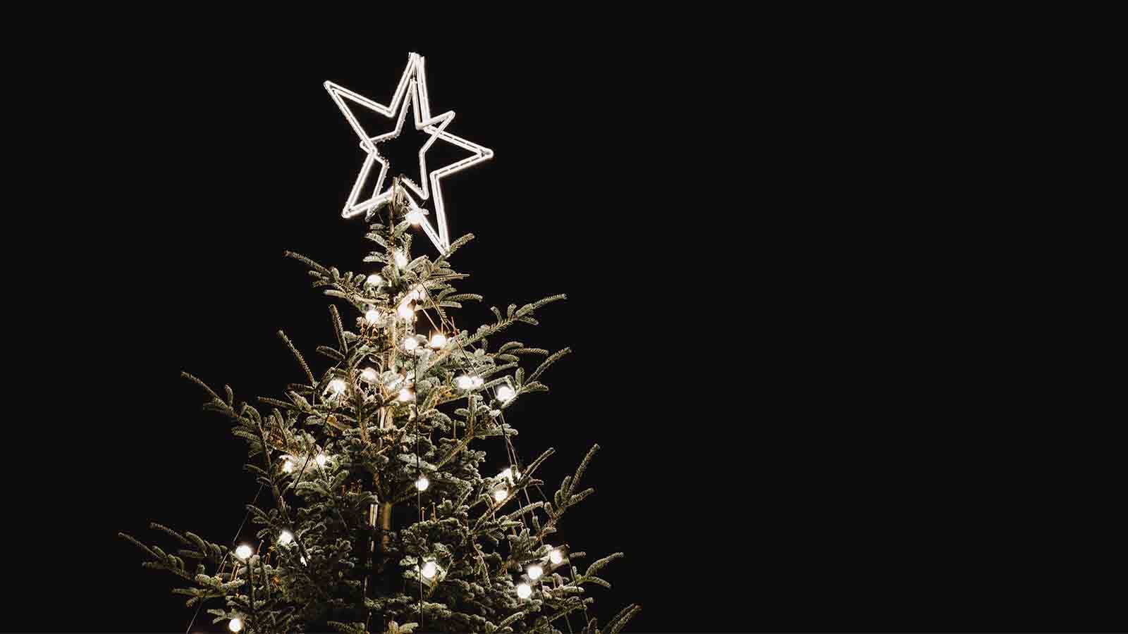 Juletre på torget Juletre på torget